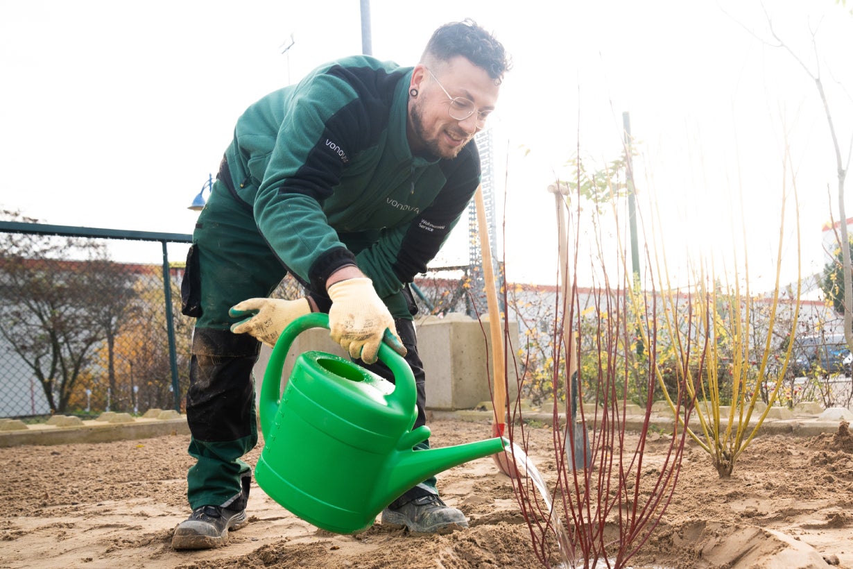 Ein Gärtner Auszubildender gießt eine Pflanze.