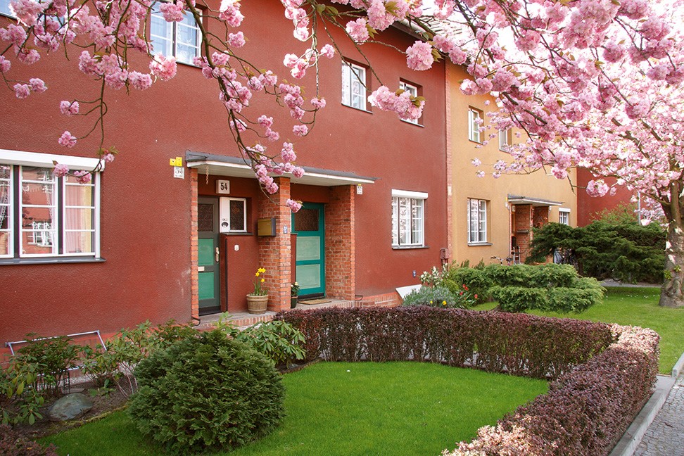 Blühender Baum über Garten vor farbigen Reihenhäusern.