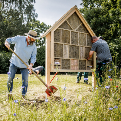 Gärtner arbeiten an der Wildblumenwiese.