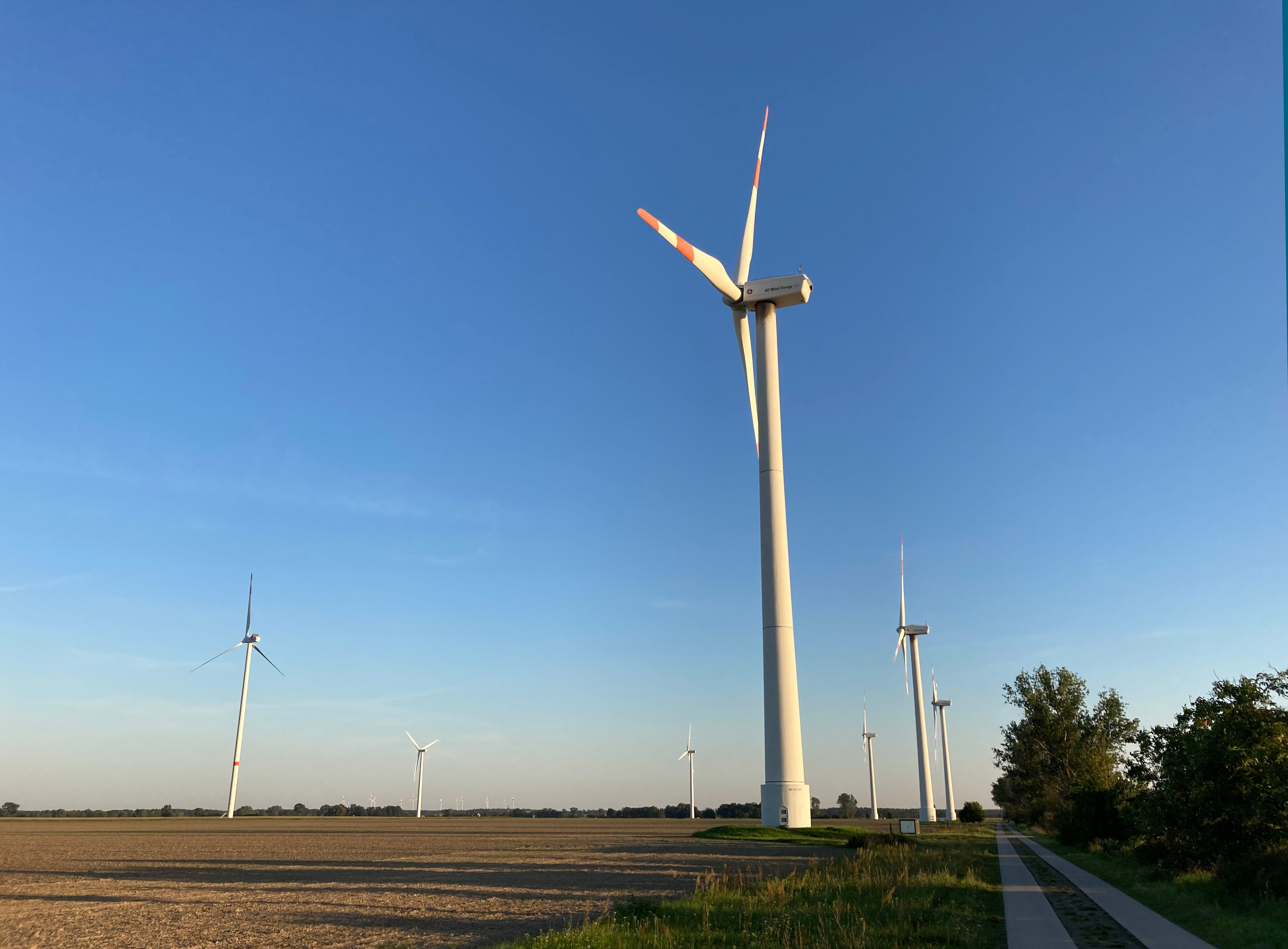 Windräder stehen auf einem Feld mit blauem Himmel im Hintergrund.
